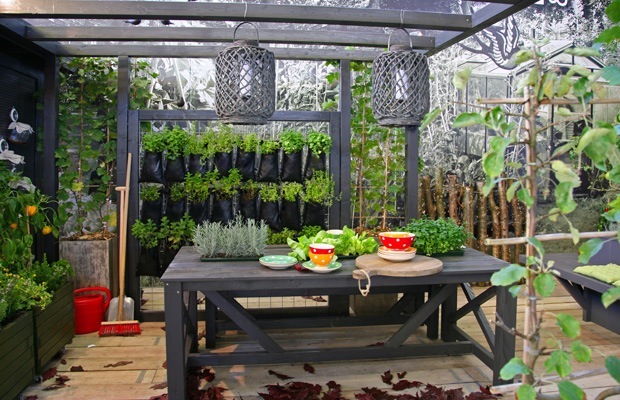 plantes sur toiture terrasse